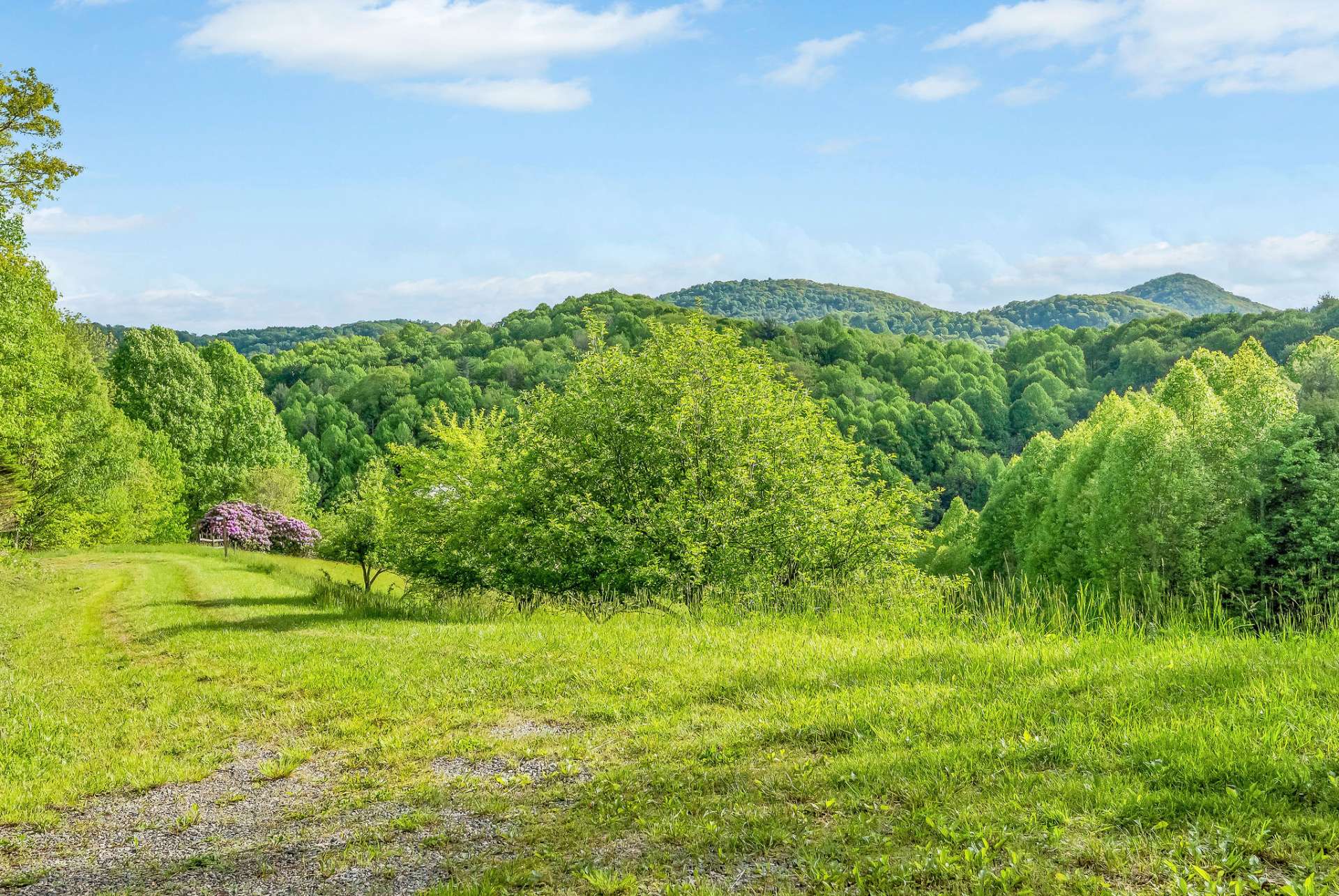 Enjoy lush vistas as you sip your morning coffee on the front porch.